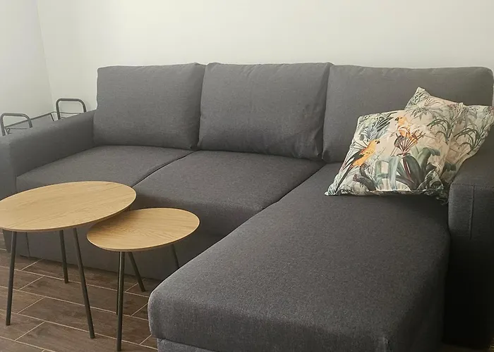 Apartment Transilvaniya