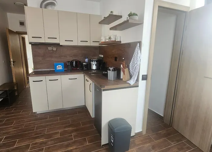 Transilvaniya Apartment Sozopol