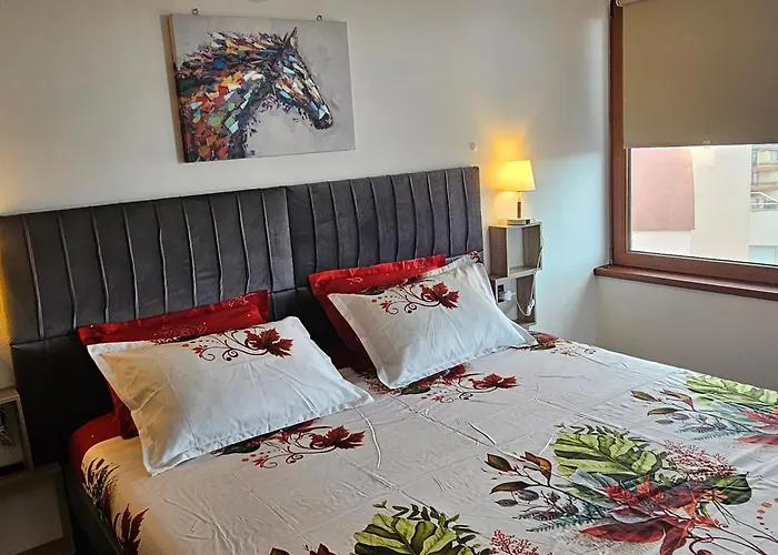 Transilvaniya Апартамент