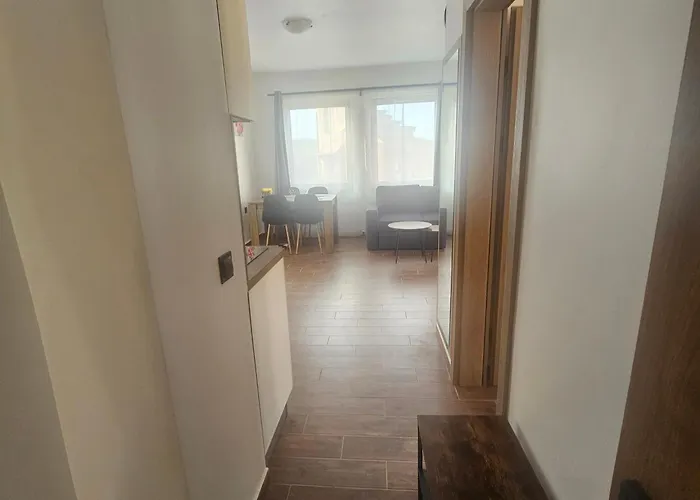 Transilvaniya Апартамент *